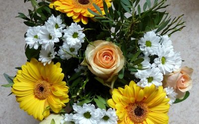 25 Jahre Dienstjubiläum – Monika Gräbener – wir gratulieren Dir herzlich